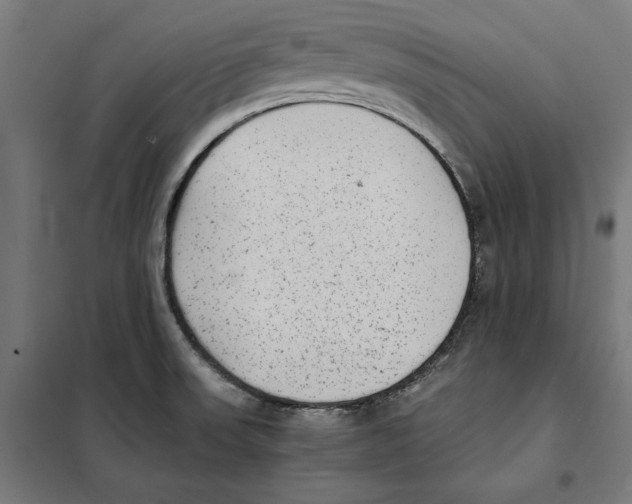 X0000101191523200807250951