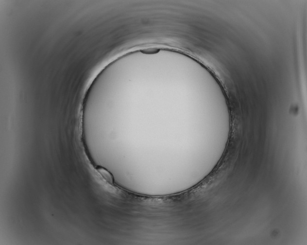X0000101191524200807250951