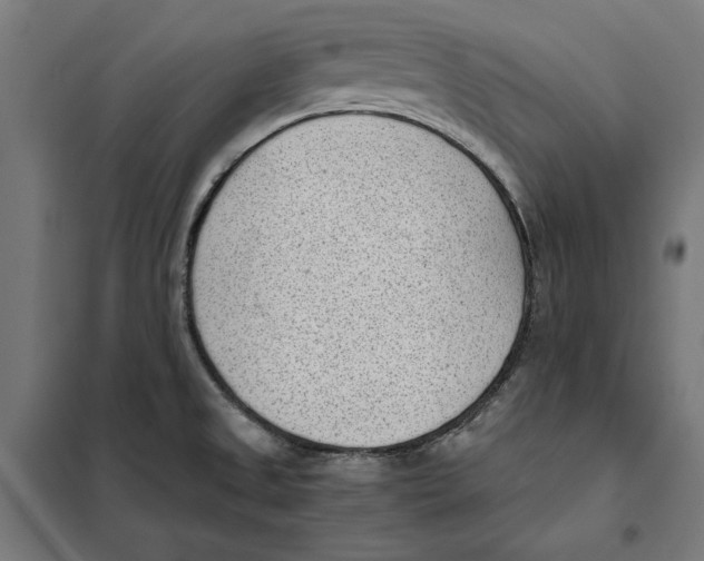 X0000101191525200807250951