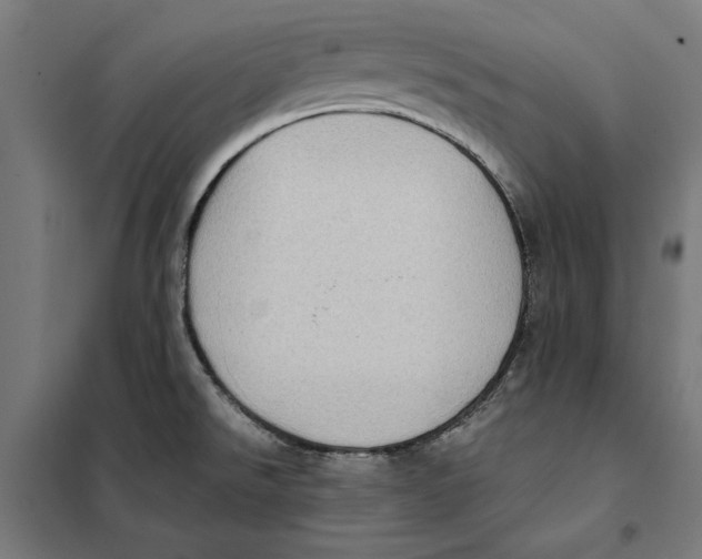 X0000101191526200807250951