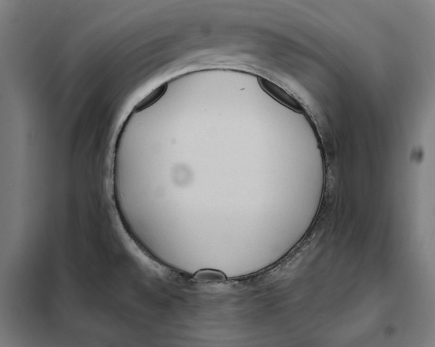 X0000101191528200807250951