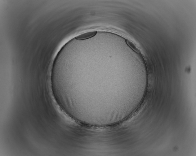 X0000101191530200807250951