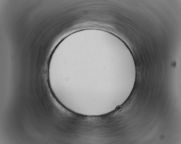 X0000101191531200807250951