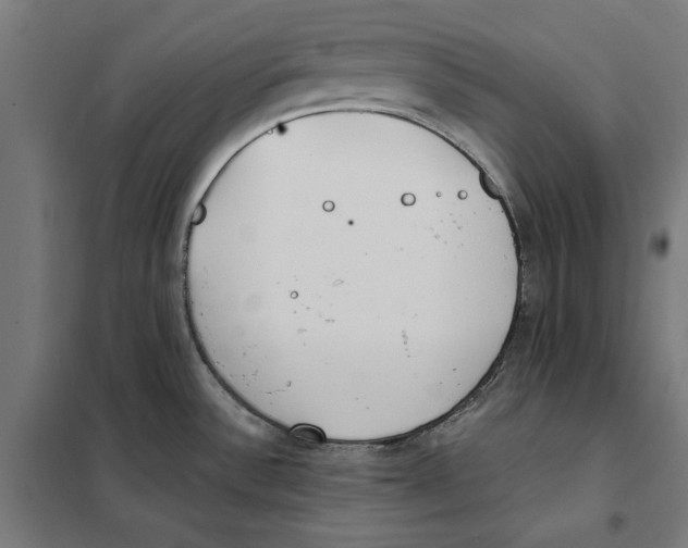 X0000101191532200807250951