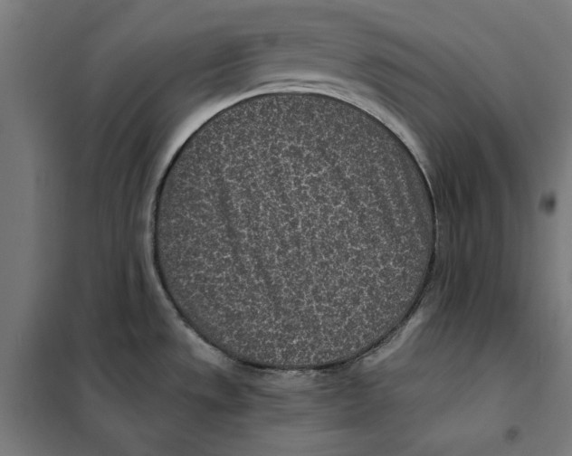 X0000101191533200807250951