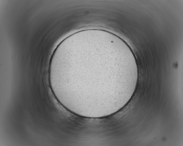 X0000101191534200807250951