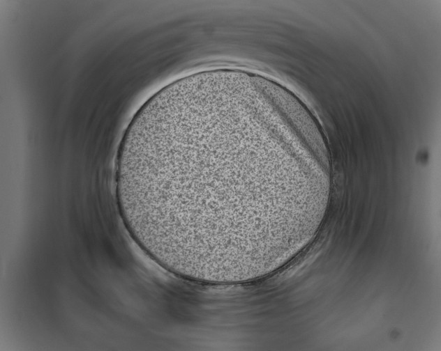 X0000101191535200807250951