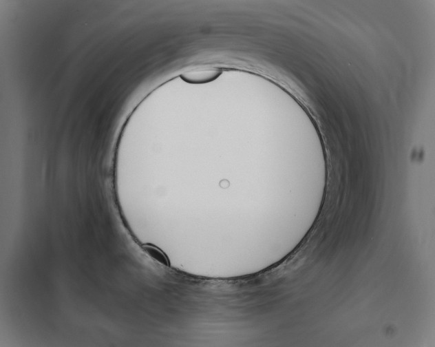 X0000101191536200807250951