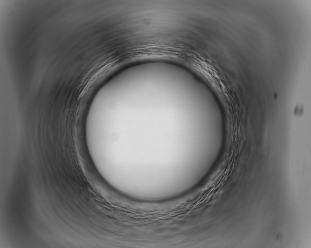 X0000101200001200806270840