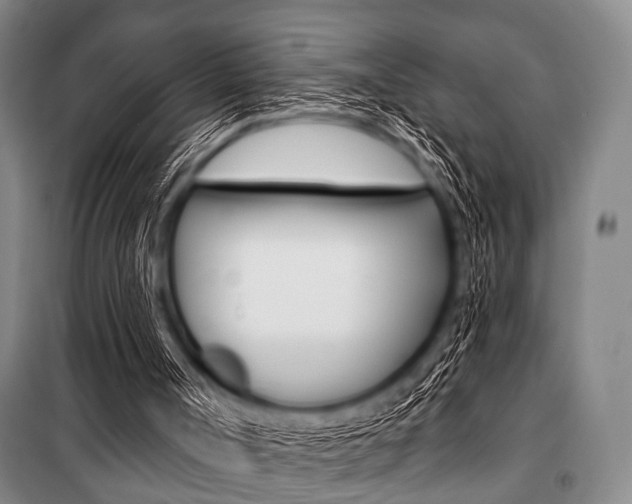 X0000101200002200806270840