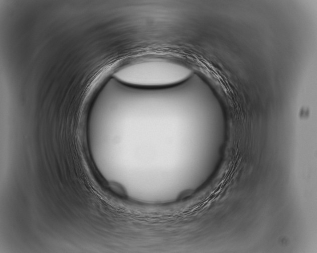 X0000101200003200806270840