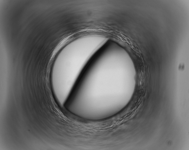 X0000101200004200806270840