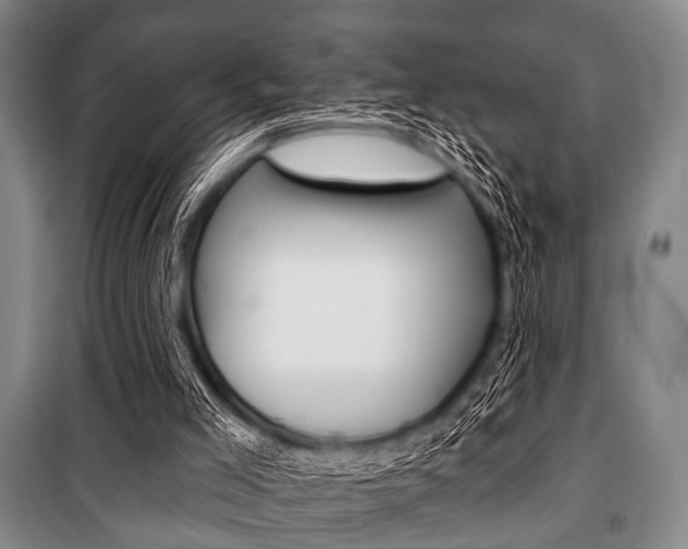X0000101200005200806270840