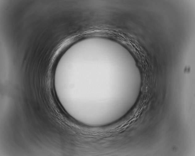 X0000101200006200806270840