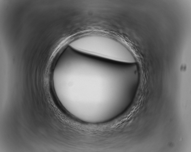 X0000101200007200806270840