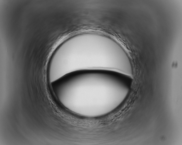 X0000101200008200806270840