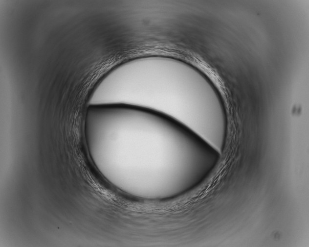X0000101200009200806270840