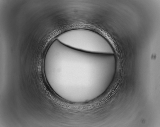X0000101200010200806270840