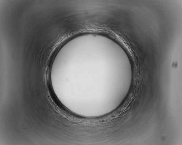 X0000101200011200806270840