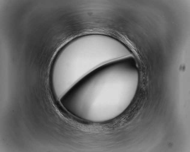 X0000101200012200806270840