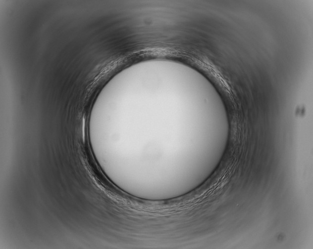 X0000101200014200806270840