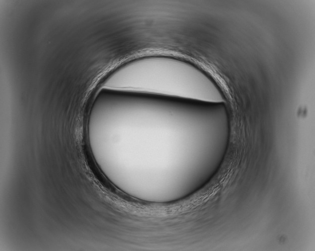 X0000101200015200806270840