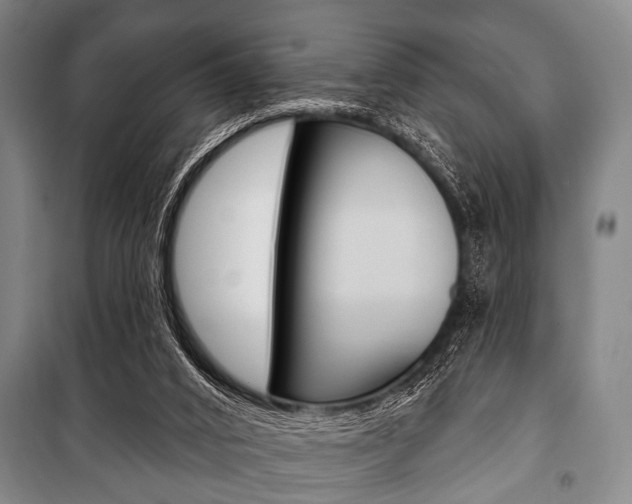 X0000101200016200806270840