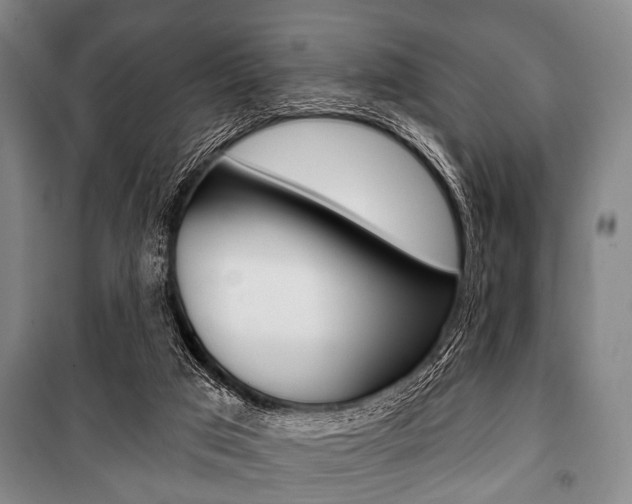 X0000101200017200806270840