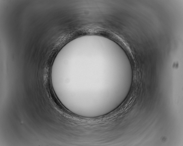 X0000101200018200806270840