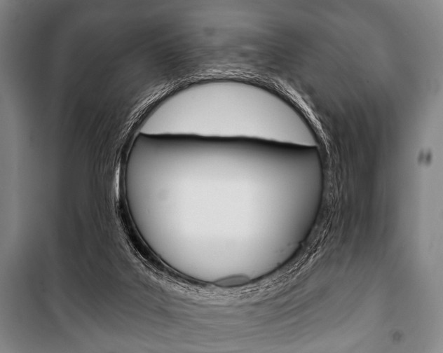 X0000101200019200806270840