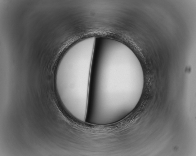 X0000101200020200806270840