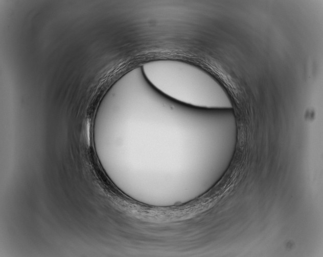 X0000101200022200806270840