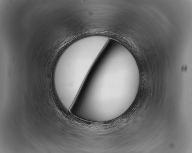 X0000101200024200806270840