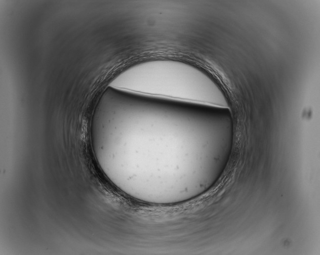X0000101200025200806270840