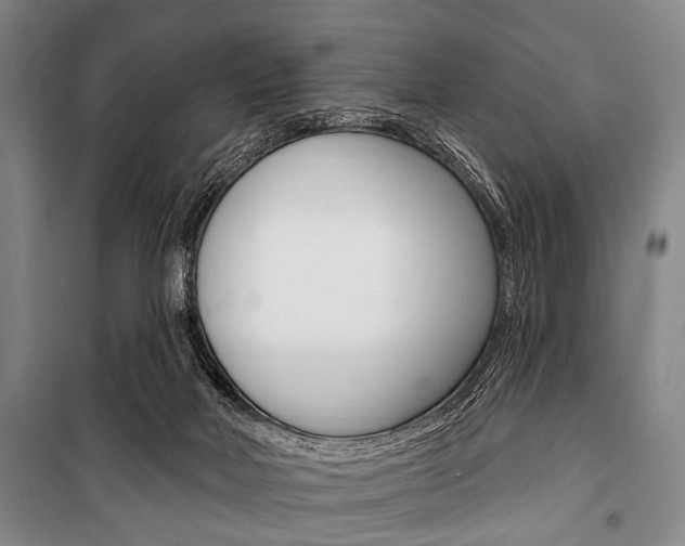 X0000101200026200806270840