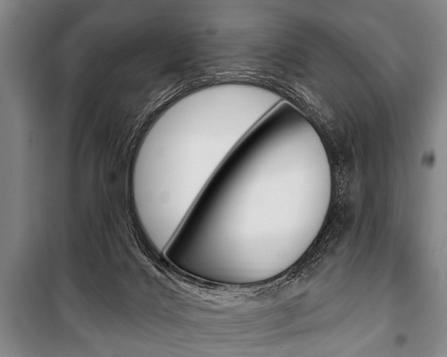 X0000101200028200806270840