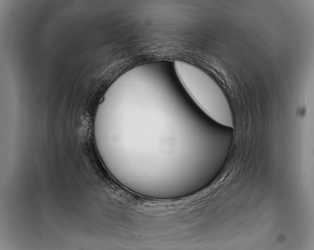 X0000101200029200806270840
