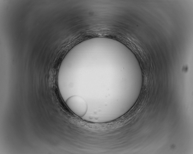 X0000101200030200806270840