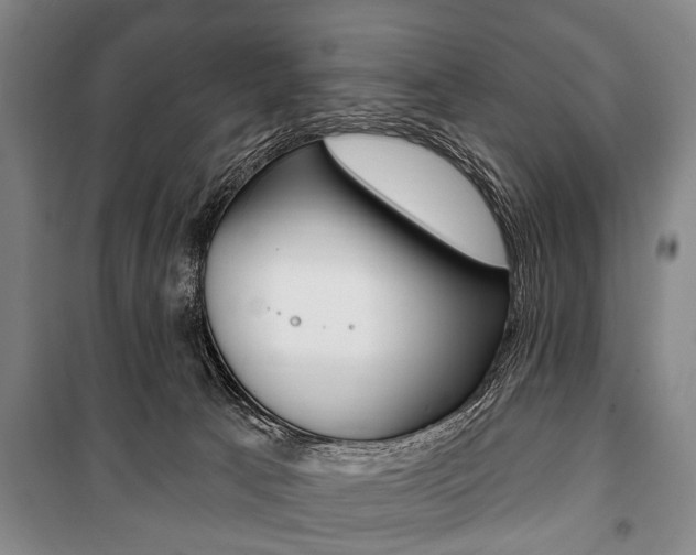 X0000101200033200806270840