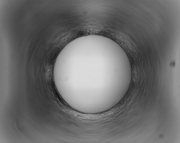 X0000101200034200806270840