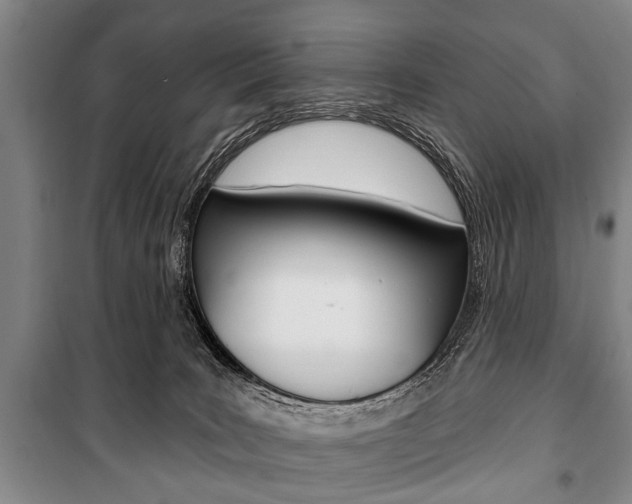 X0000101200035200806270840