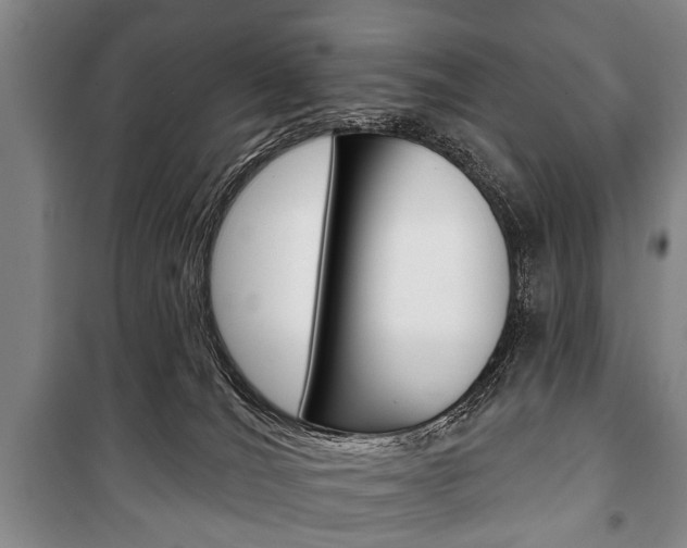 X0000101200036200806270840