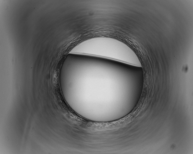 X0000101200037200806270840