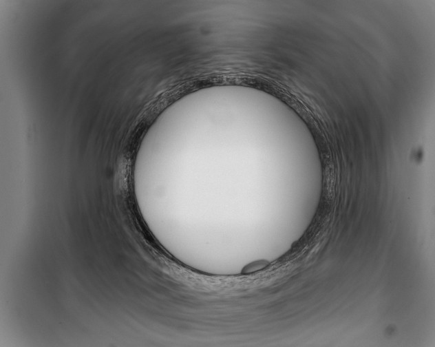X0000101200038200806270840