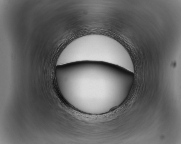 X0000101200039200806270840