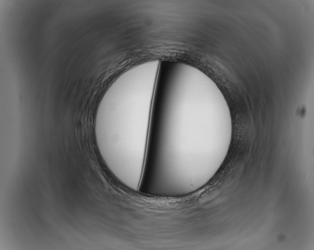 X0000101200040200806270840