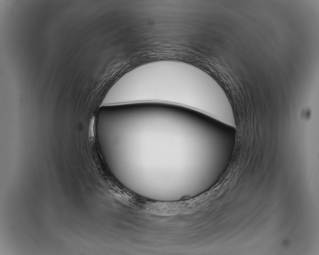 X0000101200041200806270840