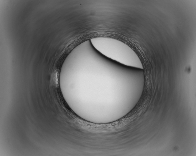X0000101200042200806270840
