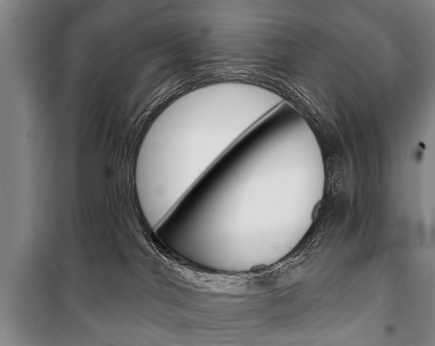 X0000101200044200806270840