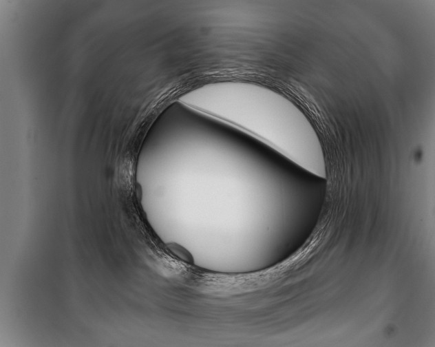 X0000101200045200806270840